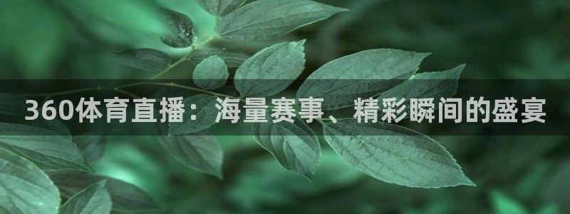 搜球吧nba在线直播：360体育直播：海量赛事、精彩瞬间的盛宴
