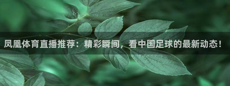 搜球吧nba在线直播：凤凰体育直播推荐：精彩瞬间，看中国足球的最新动态！