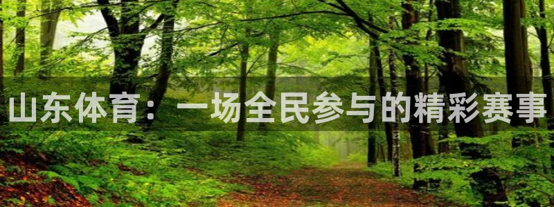 搜球体育：山东体育：一场全民参与的精彩赛事