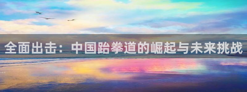 搜球8直播nba直播：全面出击：中国跆拳道的崛起与未来挑战